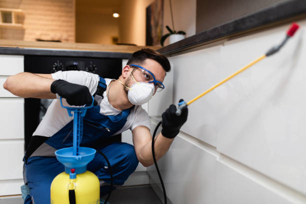 Best Pest Removal Services  in Wtmore Village, HI