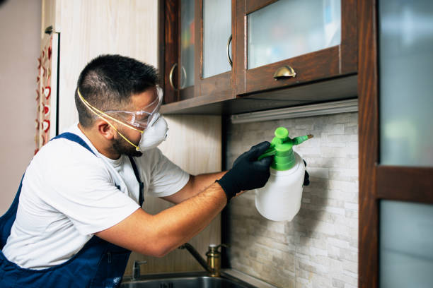 Best Best Pest Control Companies  in Wtmore Village, HI