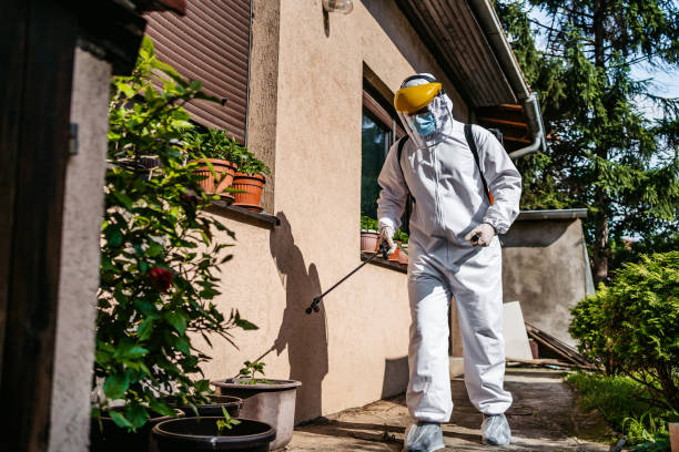 Best Termite Control Services  in Wtmore Village, HI