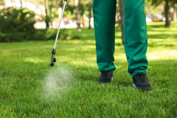 Best Residential Pest Control  in Wtmore Village, HI