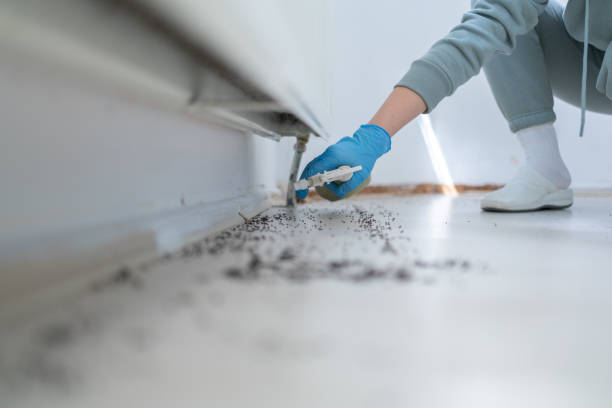 Best Best Pest Control Companies  in Wtmore Village, HI